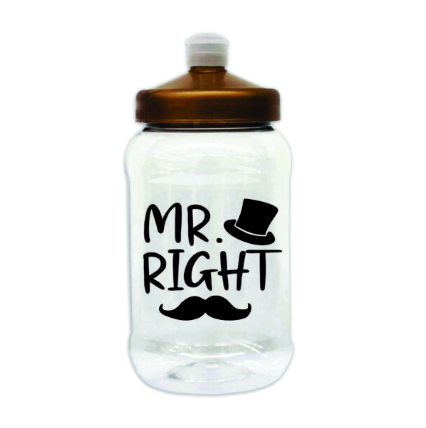 25.  MR. RIGHT