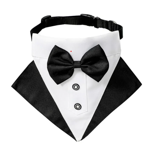 Pañuelo Traje